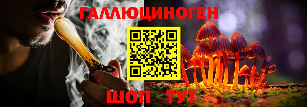 Псилоцибиновые грибы Psilocybine cubensis Еманжелинск